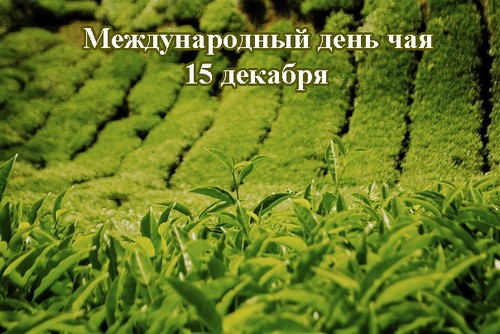 Международный день чая 15 декабря Международный день чая 15 декабря