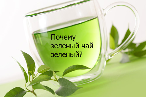 Почему зеленый чай зеленый ? Почему зеленый чай зеленый ?