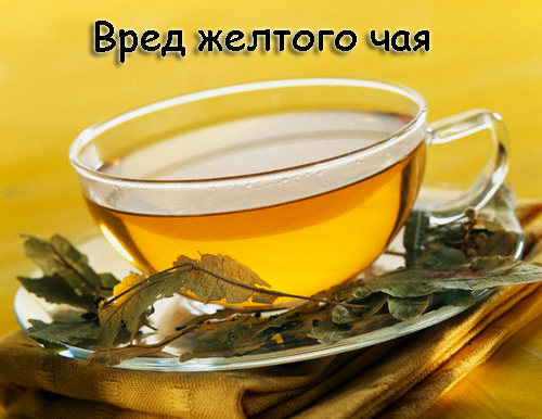 Желтый чай бывает вреден - будьте бдительны Желтый чай бывает вреден - будьте бдительны