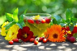 Витаминный чай из трав, рецепты Витаминный чай из трав, рецепты