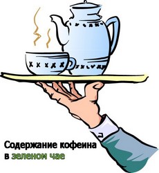 Содержание кофеина в зеленом чае Содержание кофеина в зеленом чае
